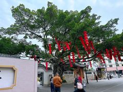 -墨池公园