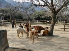 -西安秦岭野生动物园