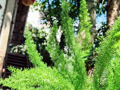 -行人小筑·茶馆(岑村火炉山分店)