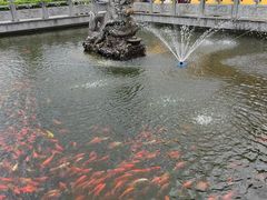 -会龙寺