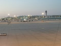 -Olive Young(明洞旗舰店)