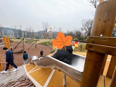 -铁山坪森林公园