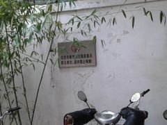 -紫竹院公园冰场