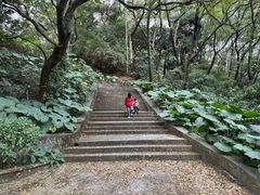 -叱石风景区