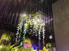 -杨记齐齐哈尔烤肉(五莲路店)