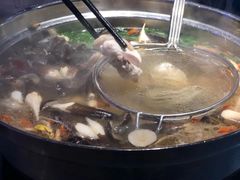 -千岛蚝高压锅生蚝·人参火锅(白云万达店)