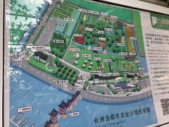 -长洲岛