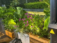 -木屋烧烤(坂田天安云谷店)