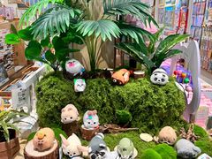 -猫的天空之城概念书店(束河店)