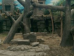 -北京动物园