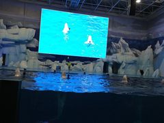 -福州罗源湾海洋世界旅游区