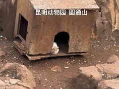 -昆明动物园