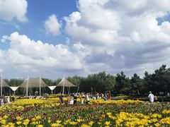 -长春公园(普阳街道)