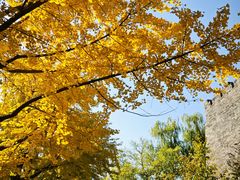 -东华门大街小区