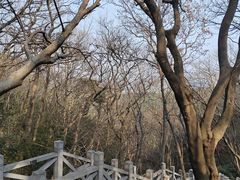 -穹窿山景区
