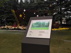 -上海市龙华烈士陵园