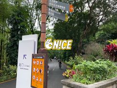-深圳仙湖植物园
