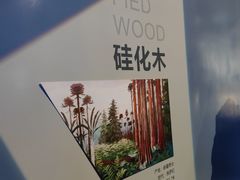 -长江文明馆