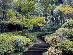 -杭州半山国家森林公园