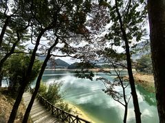 -广州市流溪河国家森林公园