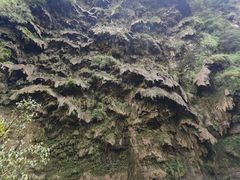 -马岭河峡谷风景区