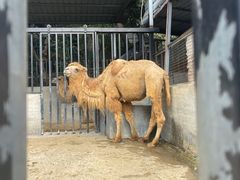 -泉州海丝野生动物世界