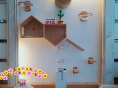 -Catmate·猫肥家润(金润铂宫店)