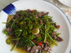 -高坎一品甲鱼庄(两河店)