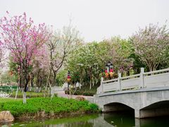 -映月湖公园