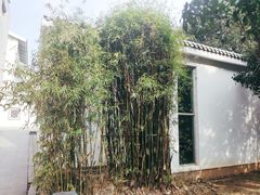 -苏州图书馆(人民路总馆)