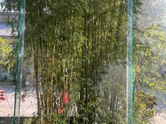 -八分饱·西津会(西津渡店)