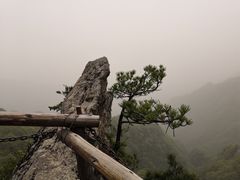 -王顺山国家森林公园