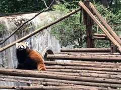 -昆明动物园