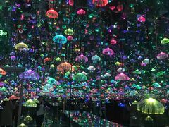-福州奇幻解压馆(东泰禾旗舰店)