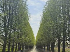 -嘉北郊野公园