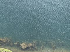 -抚仙湖禄充风景区