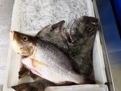 -宾朋海鲜特色美食餐厅·纯手工鲅鱼水饺(兴海路店)