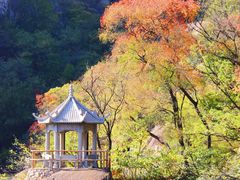 -嵖岈山风景区