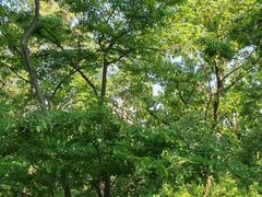 -南山风景名胜区