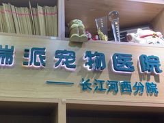 -瑞派长江宠物医院·猫科·外科·24小时夜护(谊城公寓分院)