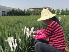 -西北农林科技大学(北校区)