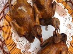 乳鸽-有腥气私房菜·寻味顺德