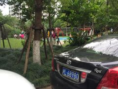 -新湖明珠城