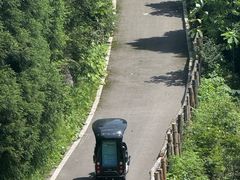 -武陵山森林公园