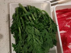 -野妹火锅(龙岗店)