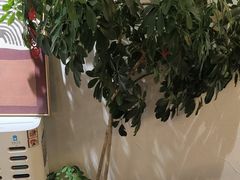 -像素研食The pixlab (皮市街店)
