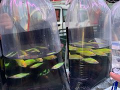 -华声天桥民俗文化园