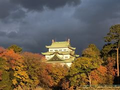 -名古屋城