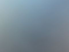 -巢爷老味(东方红店)