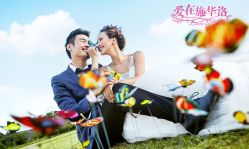 -施华洛婚纱摄影会所(范阳中路店)